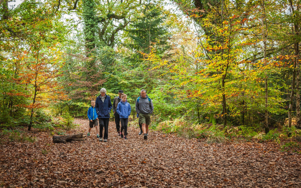 File photo of a walking family. (Unsplash) File photo of a walking family. (Unsplash)