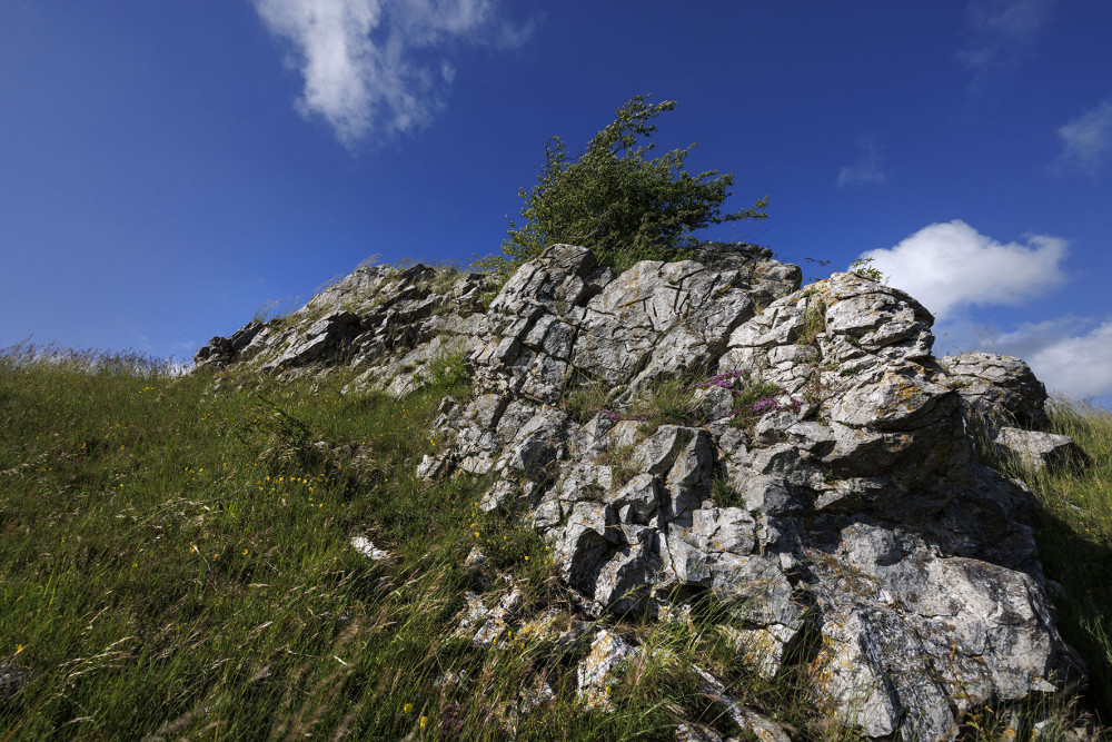 The consultation, which opened on Wednesday, 18 September 2024, aims to shape the next five-year Management Plan. The consultation, which opened on Wednesday, 18 September 2024, aims to shape the next five-year Management Plan.