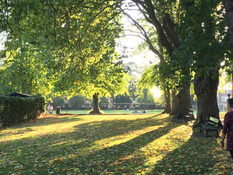 The Recreation Ground in Wells. 