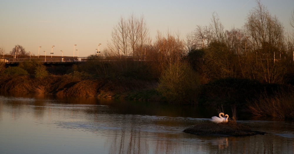 Hogsmill Nature reserve at the end of Lower Marsh Lane in Kingston is holding an open day on 6 October (Credit: Kristine Boudreau)