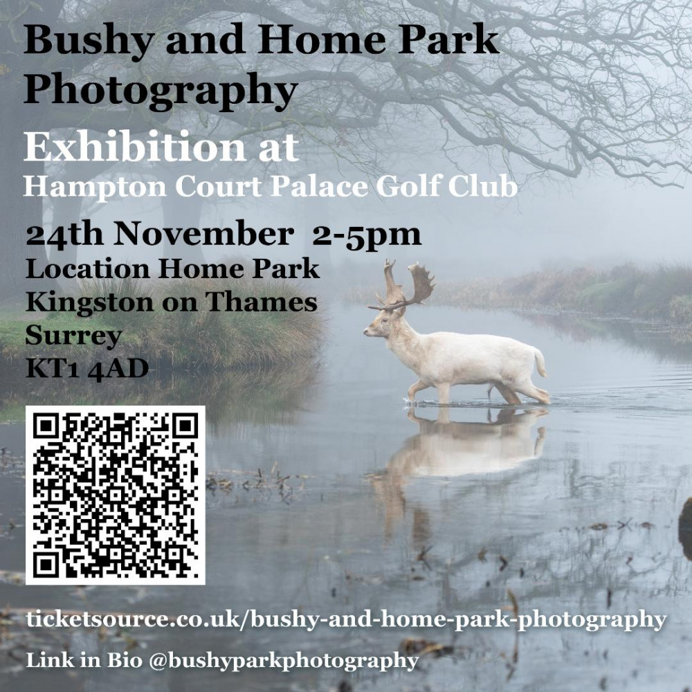 Bushy and Home Park photography 