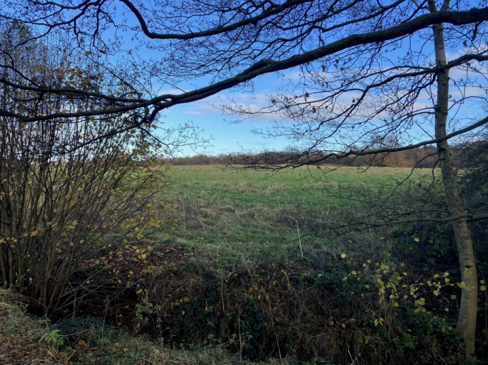 Gleeson Regeneration Limited has applied for permission to build a new residential development on vacant land in Brindley Ford (Image via planning application).