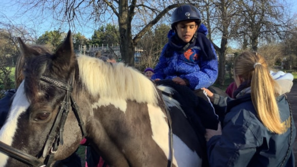 Park Lane Stables is an award-winning RDA Centre in Teddington (Park Lane Stables)