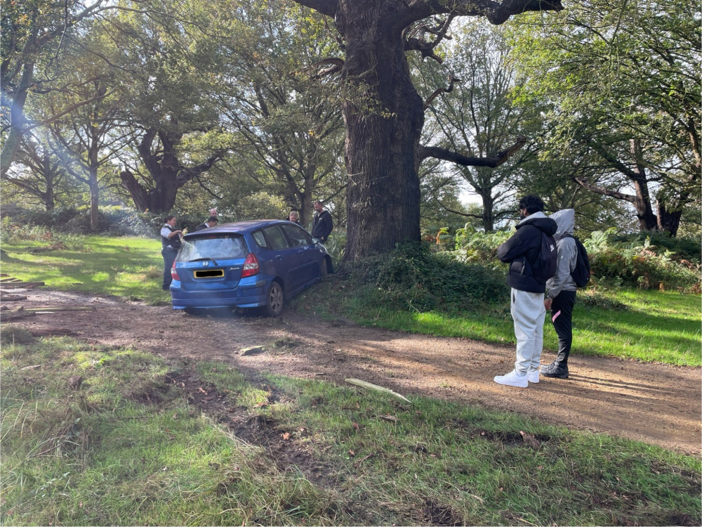 A driver has been reported for dangerous driving after crashing his car into a tree in Richmond Park (credit: MPSRoyal_Parks/X).