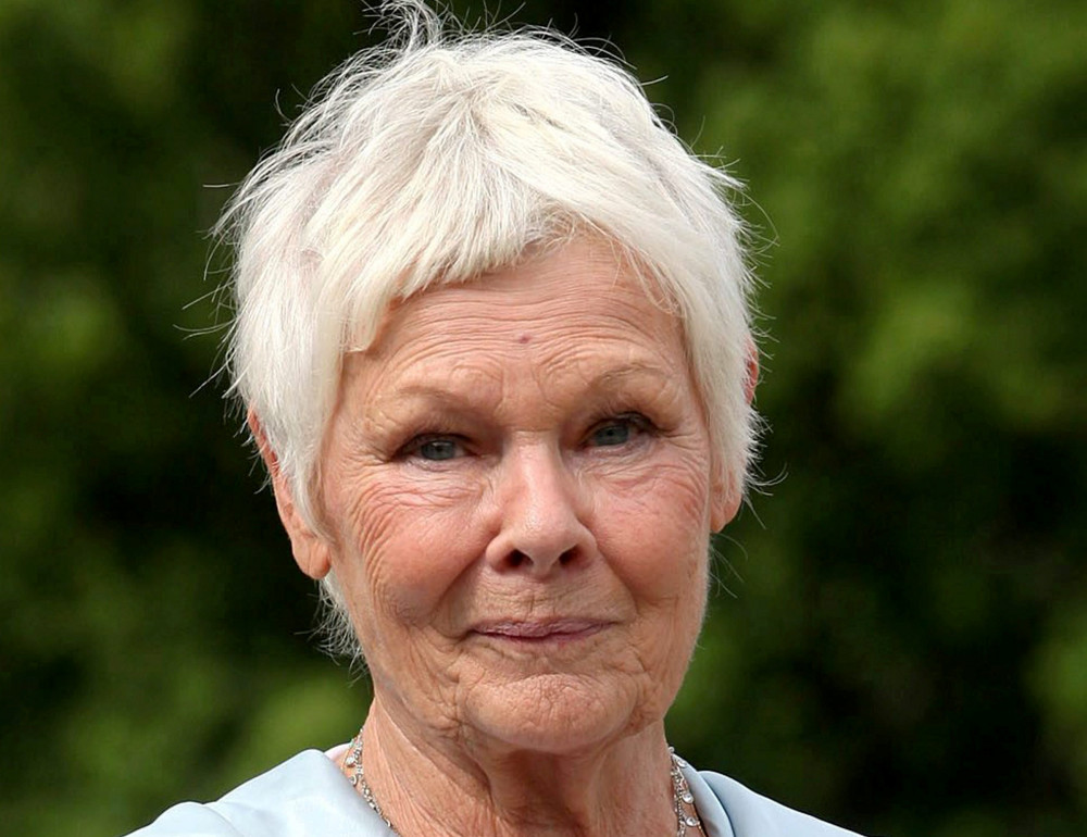 Dame Judi Dench said the thought of the Barford Quarry 'distresses me terribly' (image via SWNS)