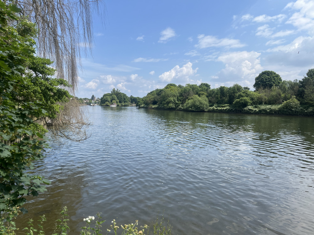 Thames Water has begun a new water quality trial to safeguard drinking water supplies to millions of households and businesses across south west London (credit: Cesar Medina).