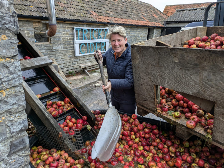 Somerset apple orchards play a vital role in supporting local wildlife, biodiversity, and the region’s cider-making heritage.