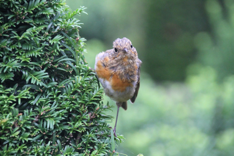 Photo Competition Entry: Connor Jordan