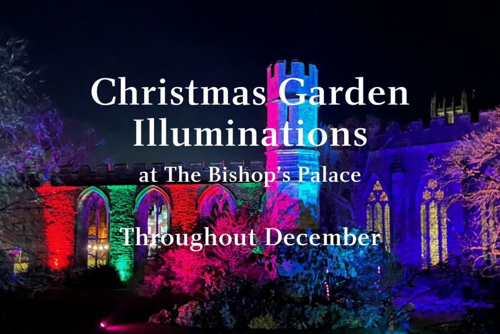 Christmas Garden Illuminations