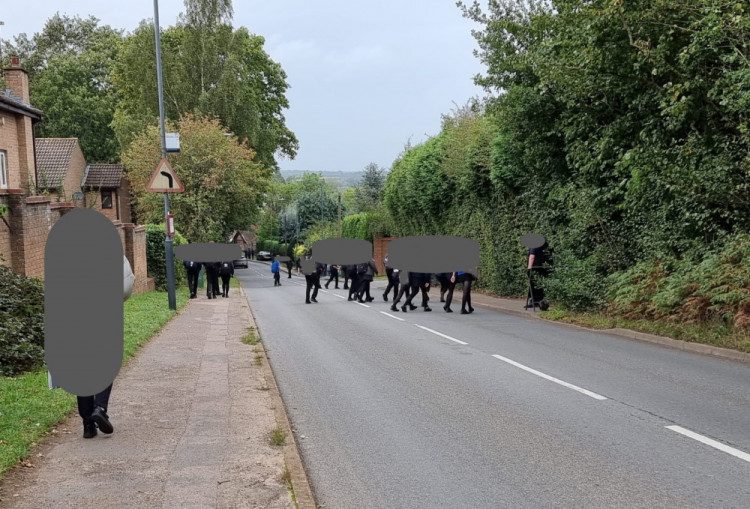 Parents and councillors have raised concerns about the safety of children crossing on Knowle Hill (image supplied)