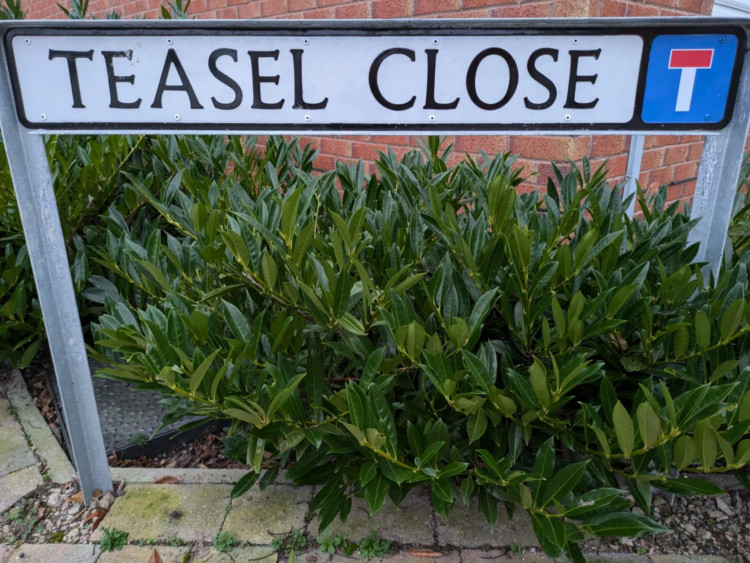 A Sandbach man has been arrested and charged with three separate incidents in Congleton.  (Photo: Nub News)