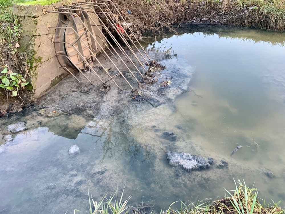 An image of sewage found in River Brent from July 2024 (credit: Ben Morris).