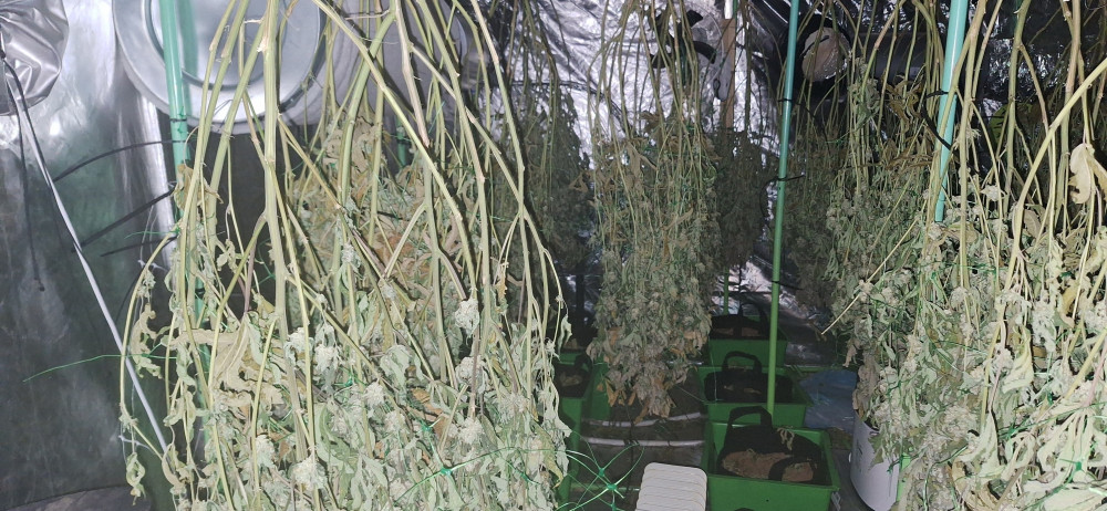 The drugs farm was found in Whitwick this week. Photos: North West Leicestershire Police