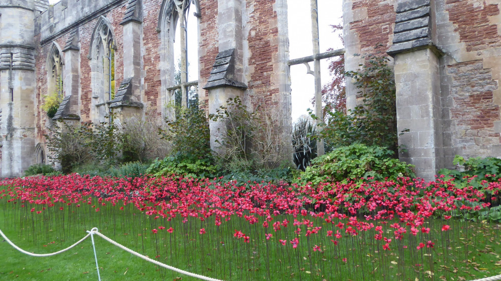 The Somerset Poppies at the Bishop's Palace in Wells. 