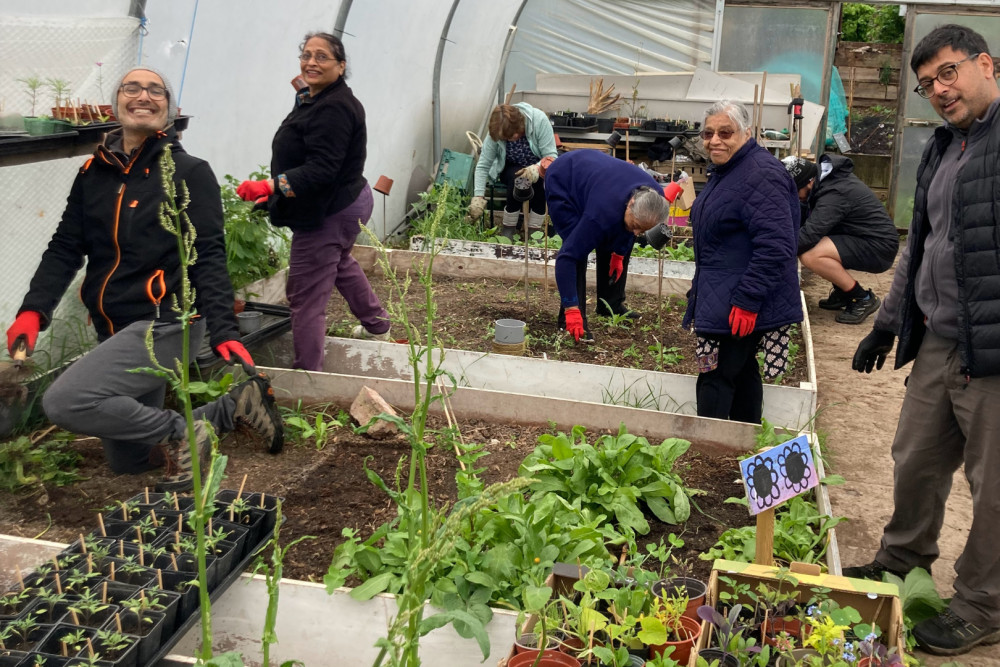 MindFood volunteers growing food and plants to share (credit: MindFood).