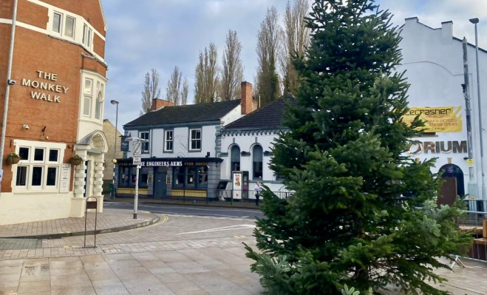 The Christmas tree in Marlborough Square, Coalville. Photo: Cllr Michael Wyatt