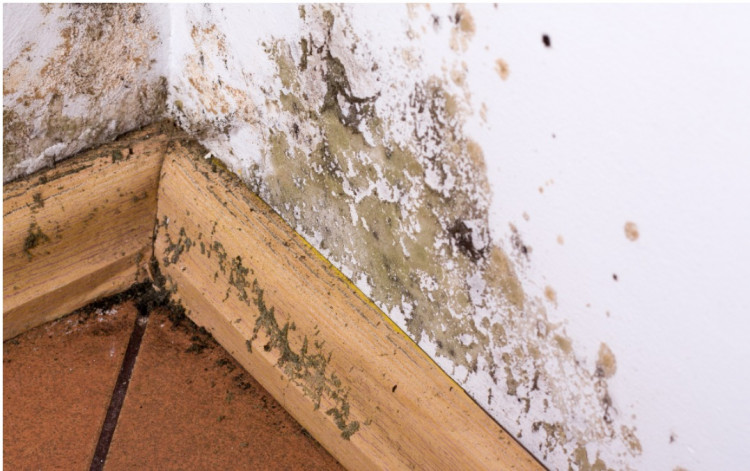 Residents living in substandard housing are urged to contact their landlord in writing (LDRS).