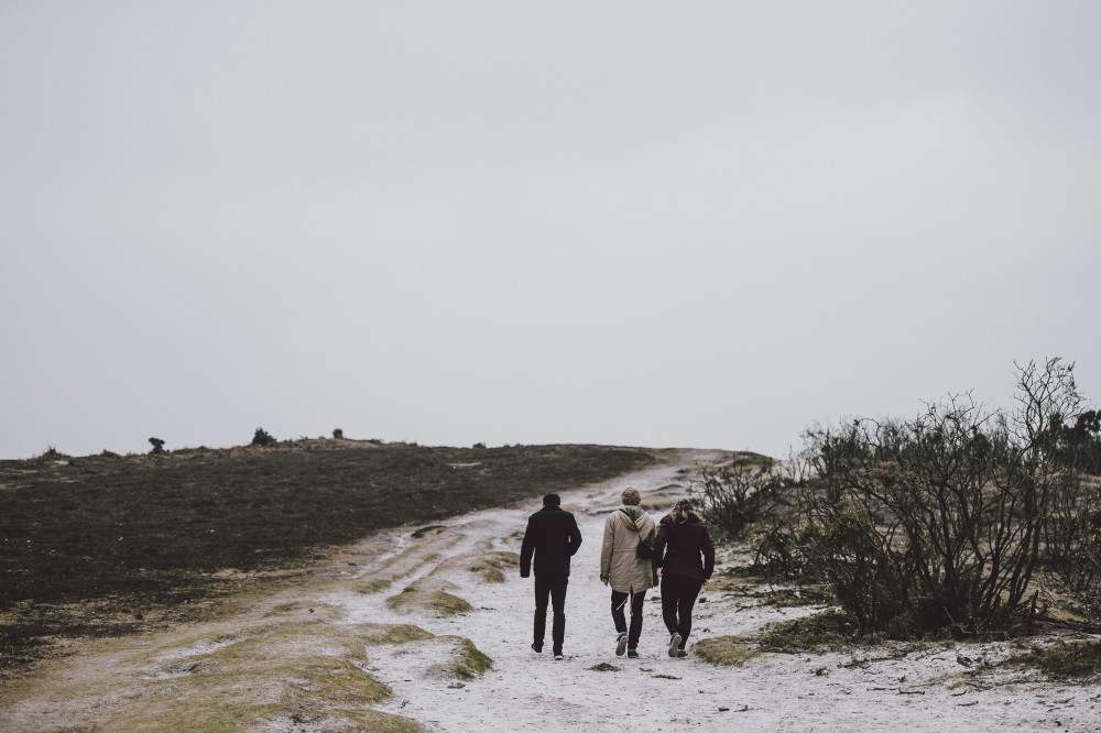 There is some minor country lane walking but it is still a dog friendly walk. There is some minor country lane walking but it is still a dog friendly walk.