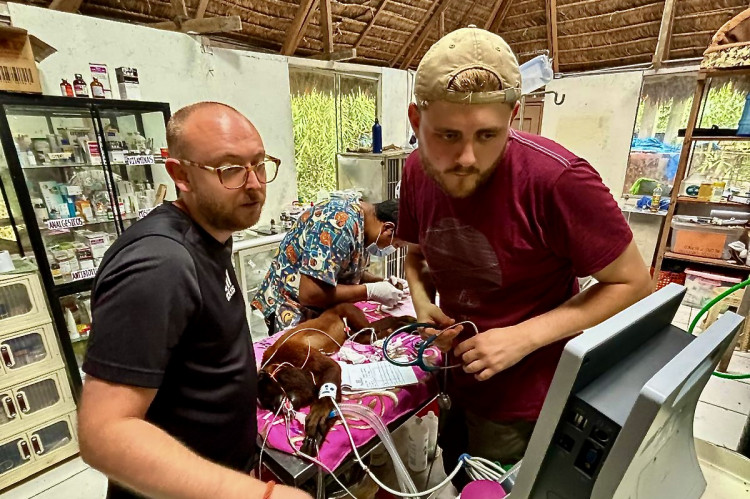 Ben Witcomb, who works at Linnaeus-owned Woodward Veterinary Practice in Ashby de la Zouch, and his partner Dan Roden volunteered at the Amazon Shelter in Peru