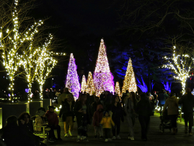 Shoemaker Place, in Stone, will be switching on its Christmas lights next Friday (Unsplash).