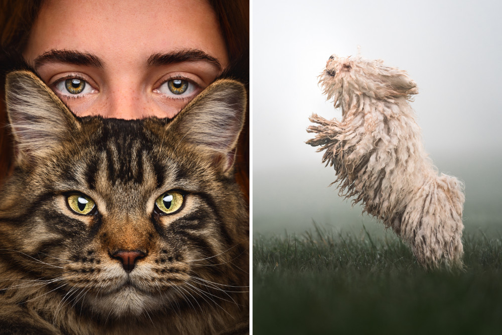 'Soulmates' (left) and 'Leaping Mop' from Acton based photographer Chohee Courtois (credit: Chohee Courtois).