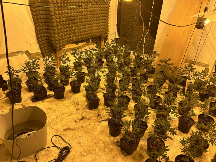 Police raided a property on Avon Street on November 14 (Image via Warwick Police)