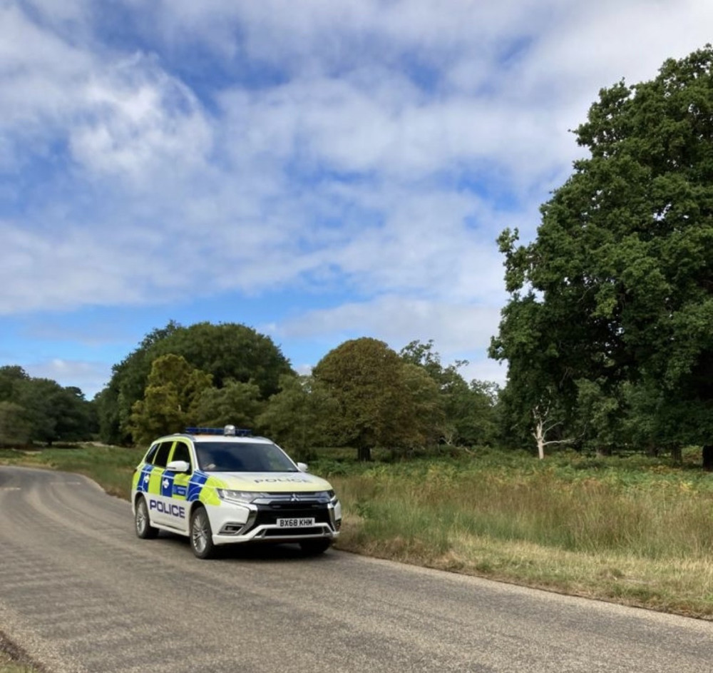 The incident took place at Broomfield Hill Car Park in June this year (Credit: Royal Parks Police)