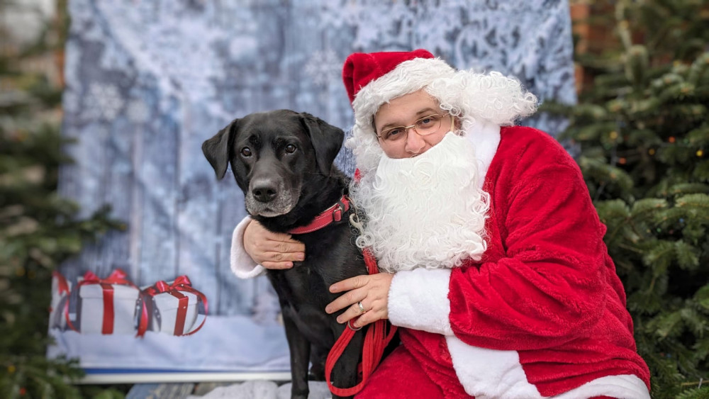 Kingston's Woofs A Daisy will have a Santa Paws grotto whereby dogs can have their photos taken with Santa Paws (Credit: Suzanne Seyghal Buckingham) 