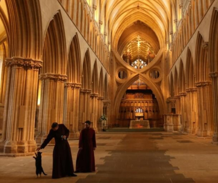 Wells Cathedral welcomes visitors this Christmas with a packed calendar of festive services, concerts, and family events.