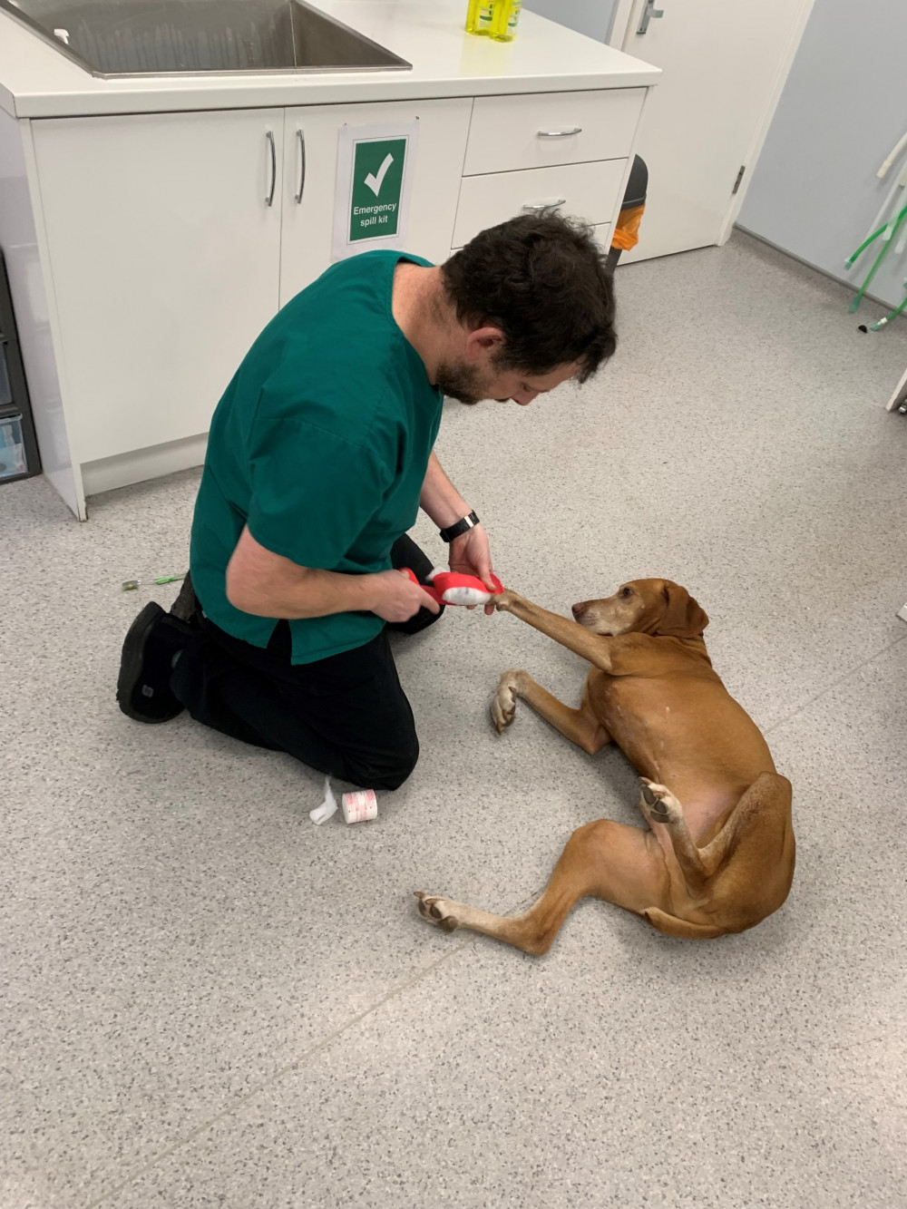 Vets for Pets Alsager owner Carl May has a long and distinguished career in the veterinary field. (Photo: Vets for Pets Alsager)