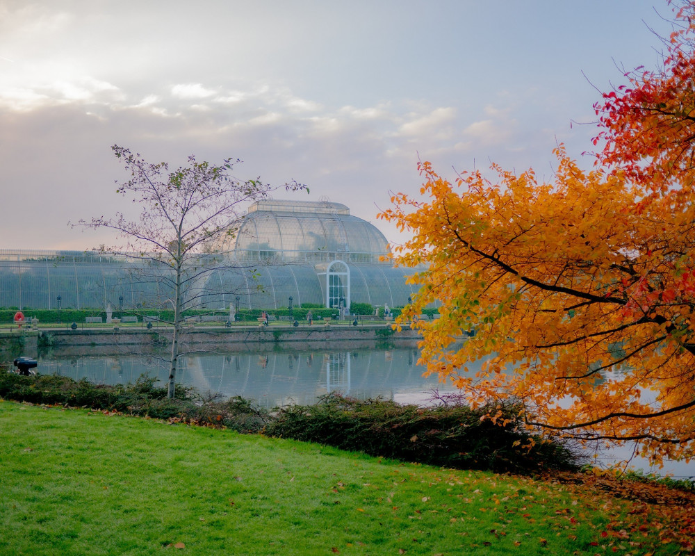 Kew Gardens houses the iconic Palm House (Credit: Sebastian Kettley/RBG Kew)