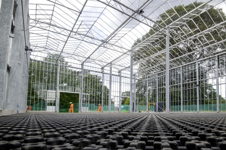 Construction of one of the new glasshouses at Kew Gardens (credit: Jeff Eden/RBG Kew).