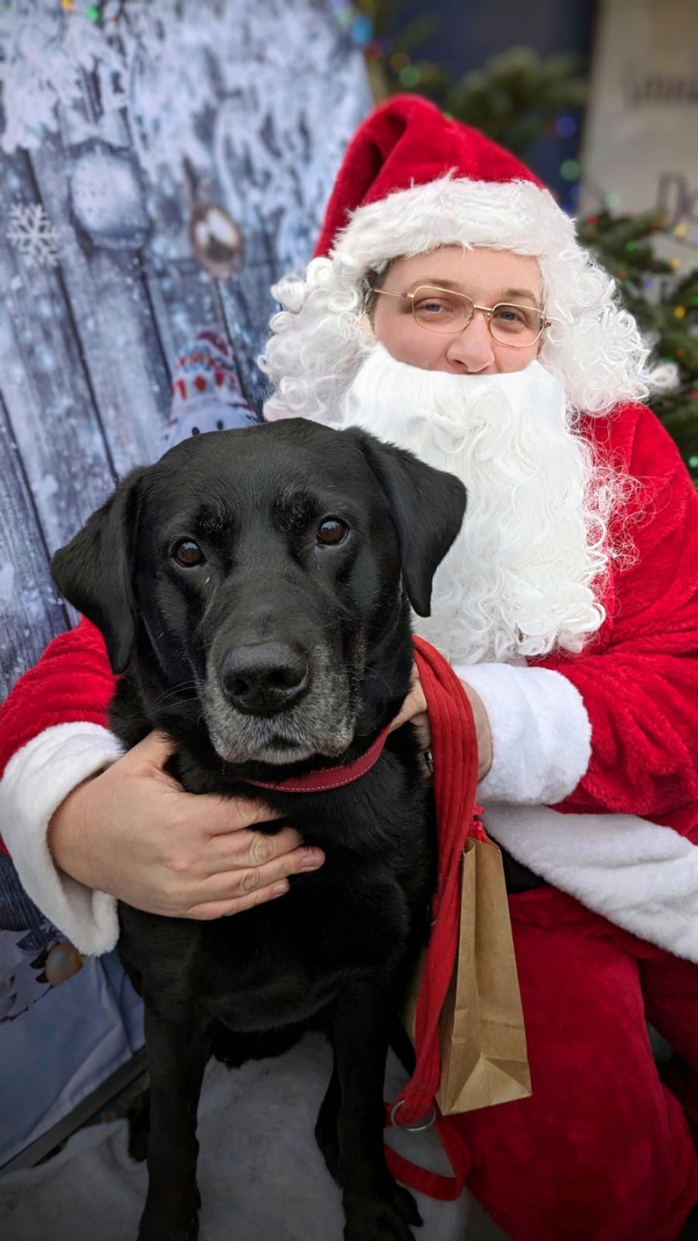 Christmas Dog Show & Market