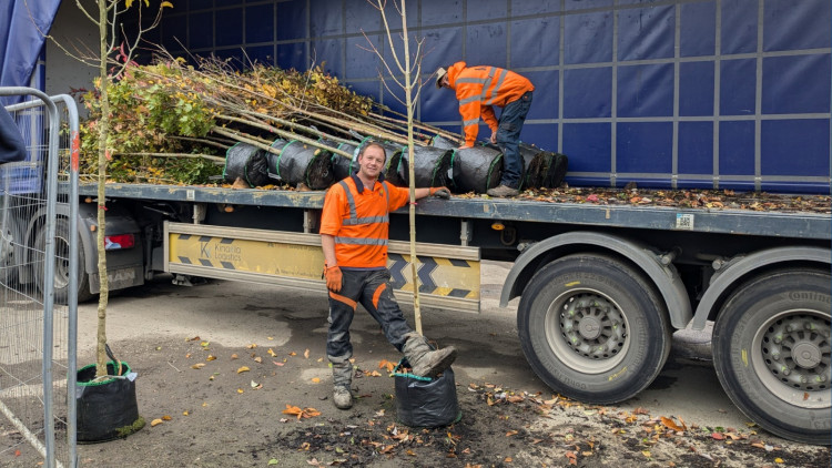 The tree give away from the council also comes with the release of a new 'tree survey' (credit: Richmond Council/Facebook).