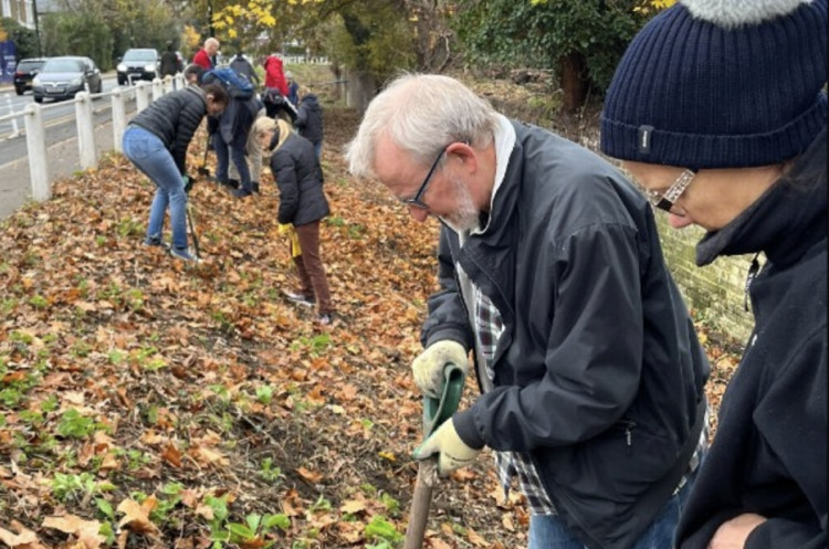Volunteers from Habitats & Heritage planting bulbs along Kew Road Ha-ha (credit: Richmond Council).