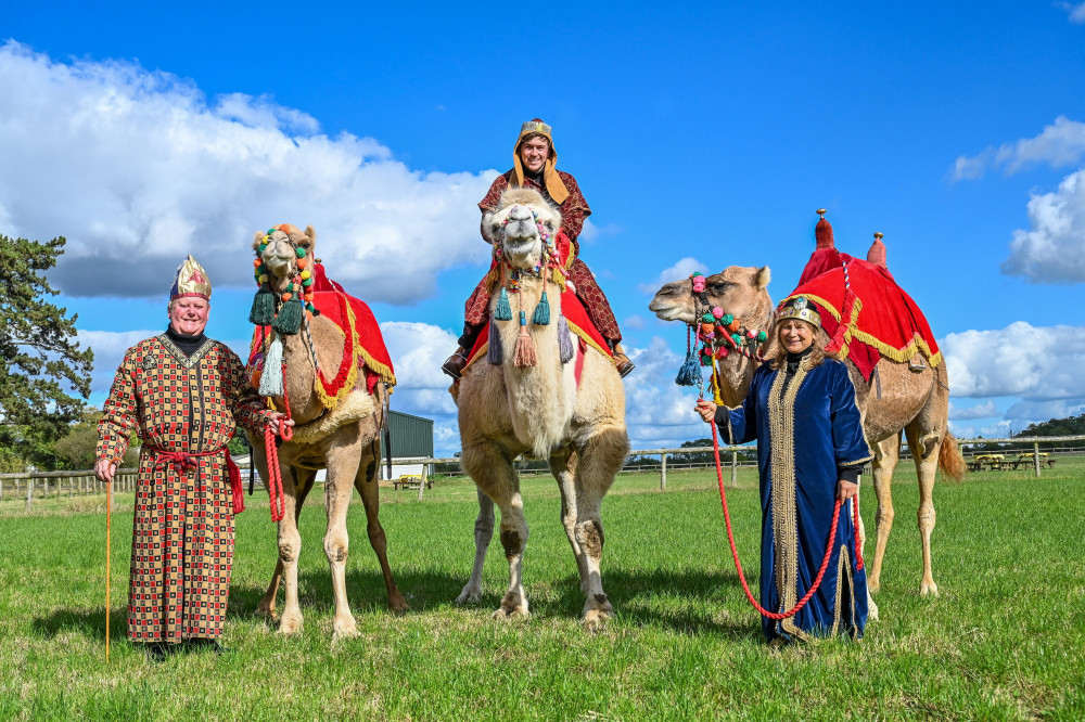 The camels live at a farm in Ildicote, Warwickshire (image via SWNS)