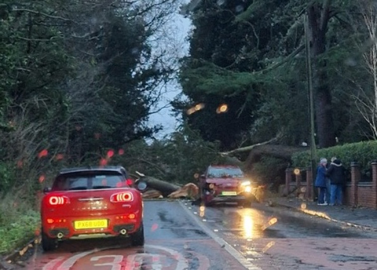 The tree fell across the road in Leek Wootton (image supplied)