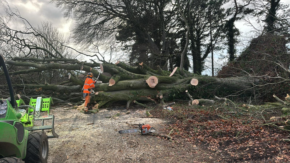 A fallen tree blocks a Somerset road following Storm Darragh, as crews work tirelessly to clear debris and restore access.