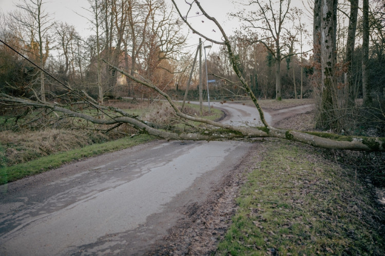 Crackley Lane is closed due to a fallen tree (image via Warwickshire County Council)