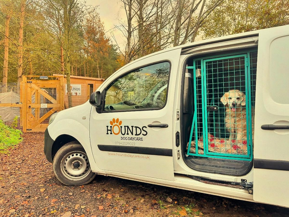 Hounds Daycare has introduced the new 'school bus' service (image supplied)