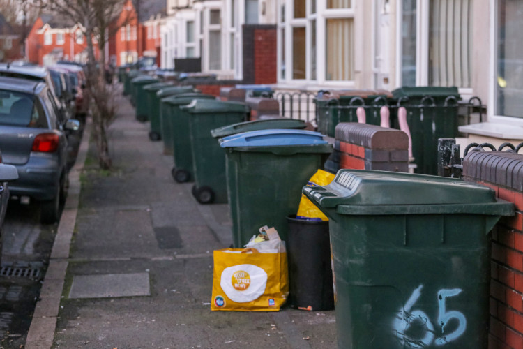Green bin collections in Kenilworth will be suspended from 27 December 2024 through to 8 January 2025 (image via SWNS)