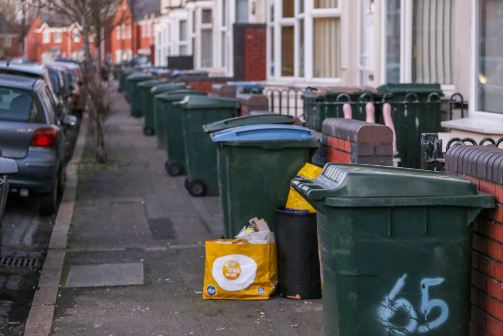 Green bin collections in Kenilworth will be suspended from 27 December 2024 through to 8 January 2025 (image via SWNS)