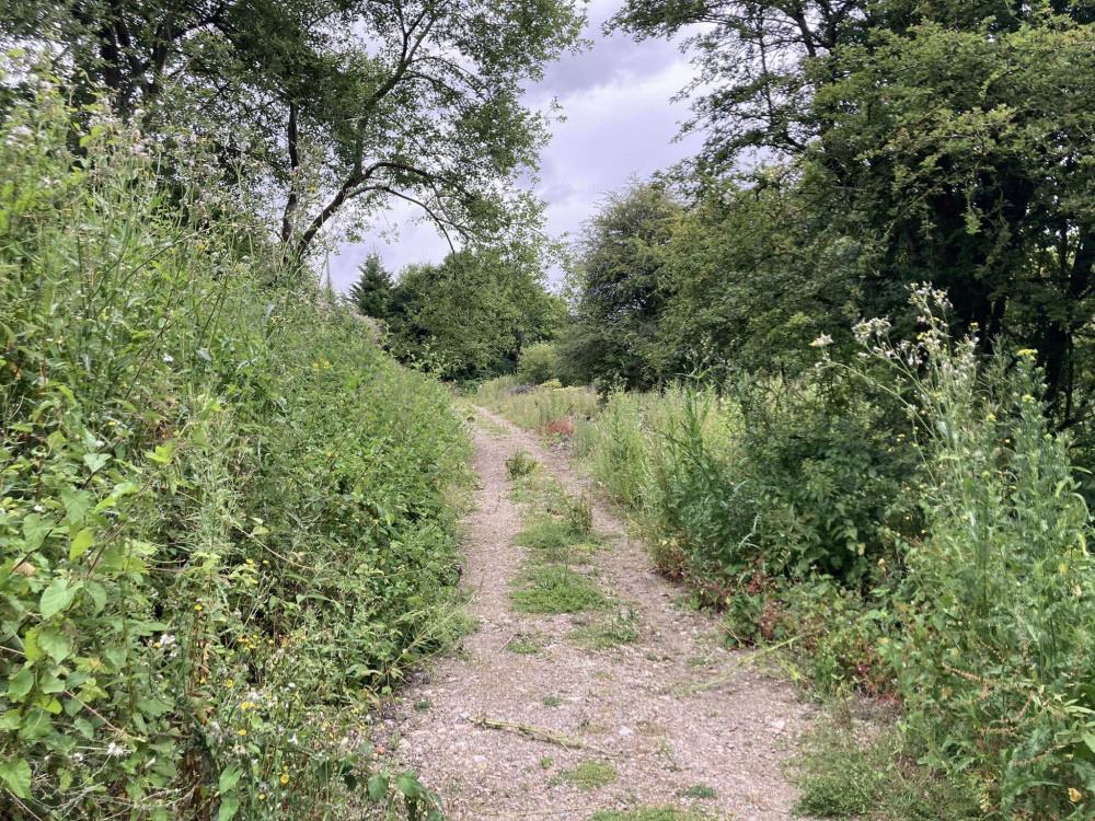 Section of path along the River Frome between The Retreat and the Old Printworks (image via Daniel Mumby)