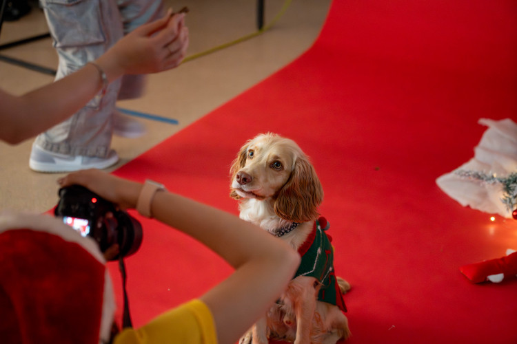 Newcastle College students raised £630 for Dogs Trust (NSCG).