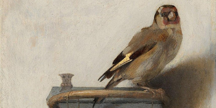 Art History Talk - Pictures for Twitchers! 