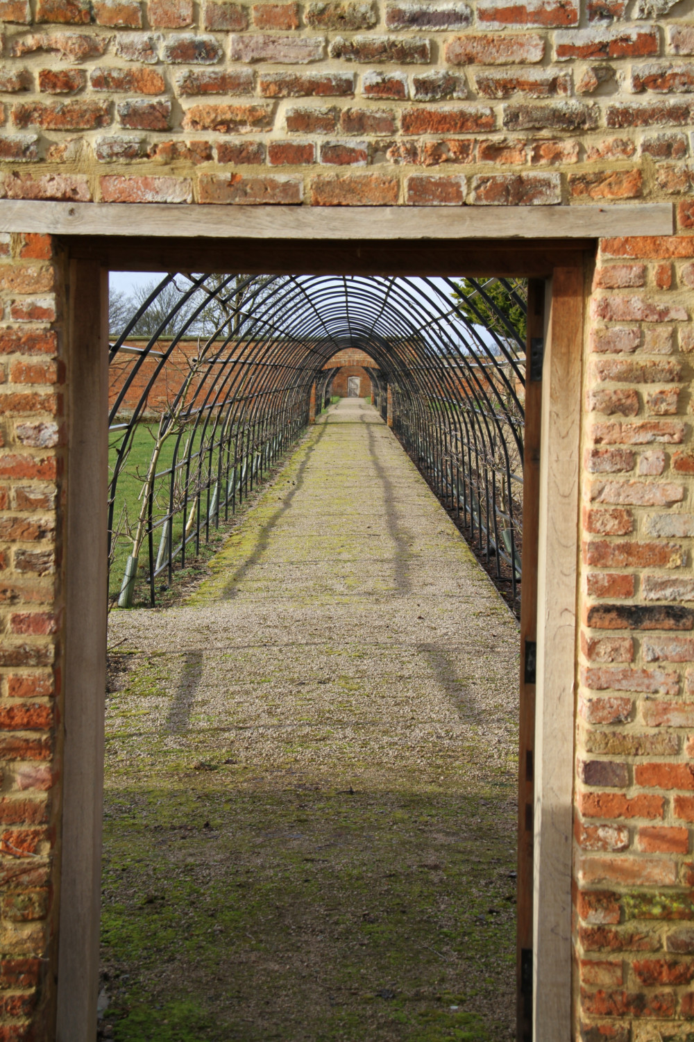 The Walled Garden at Burghley with Joe Whitehead The Walled Garden at Burghley with Joe Whitehead