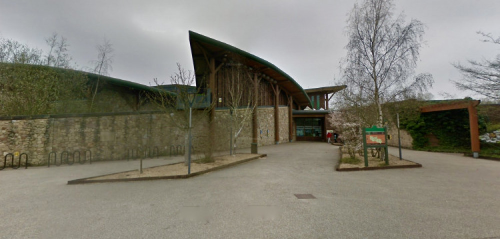 Conkers in Moira. Image: Instantstreetview.com Conkers in Moira. Image: Instantstreetview.com
