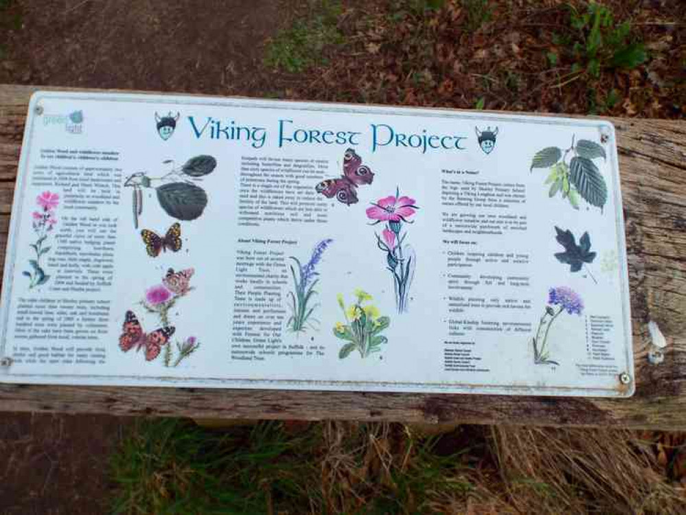 Viking Project board describing the wildlife you might find in Golden Wood