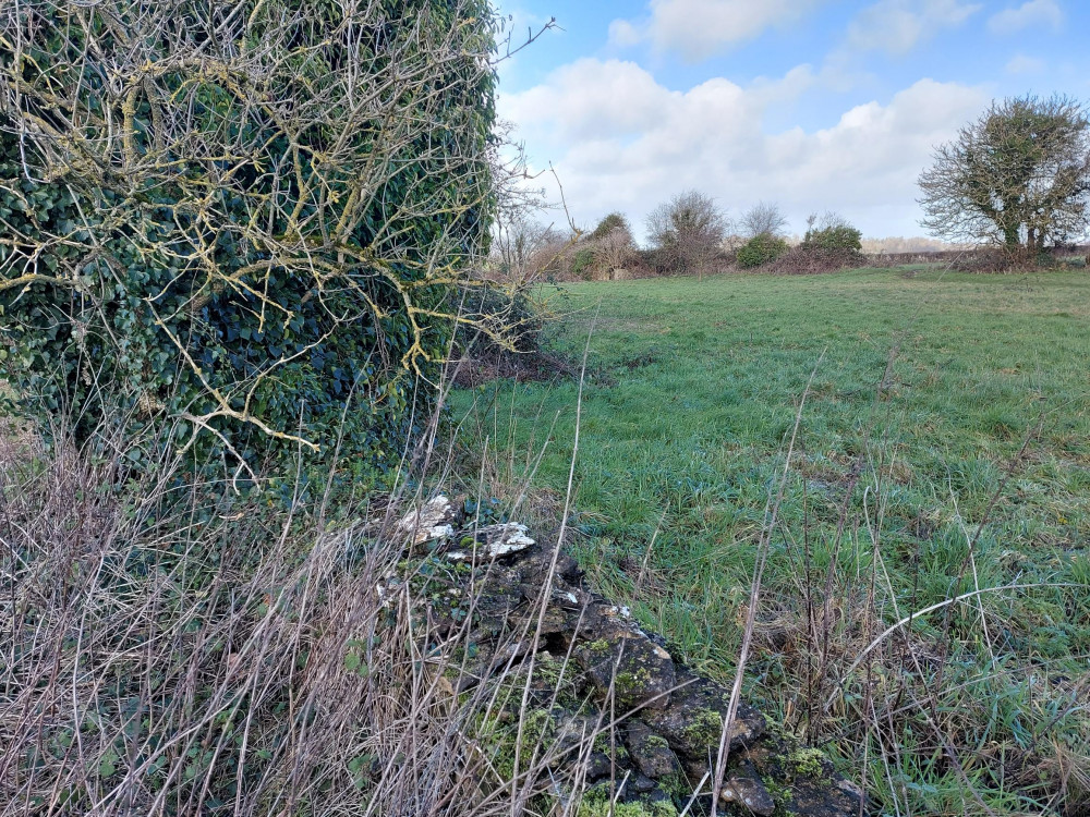 The fields in the north of Frome acould be turned into 74 homes