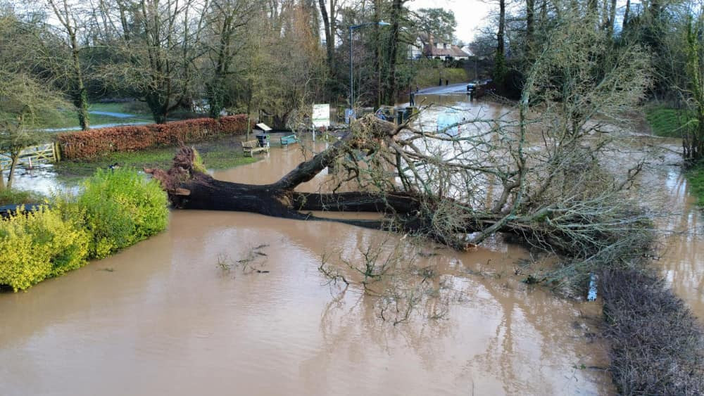 The tree fell across the Castle Road ford on Monday 6 January (image by Arthur Belgrove)